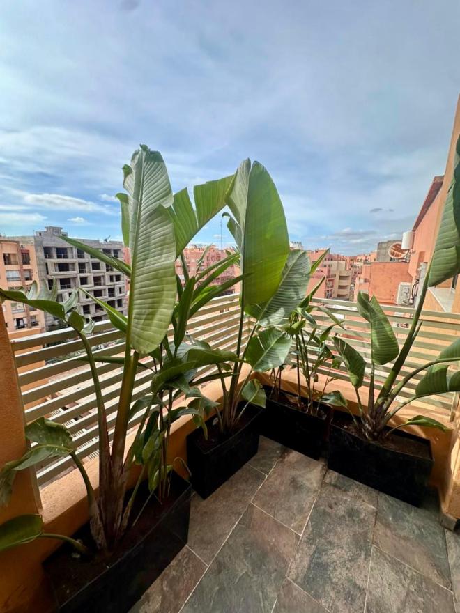 Superbe appartement à côté du Carré Eden