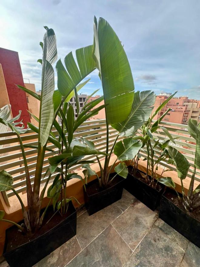 Superbe appartement à côté du Carré Eden