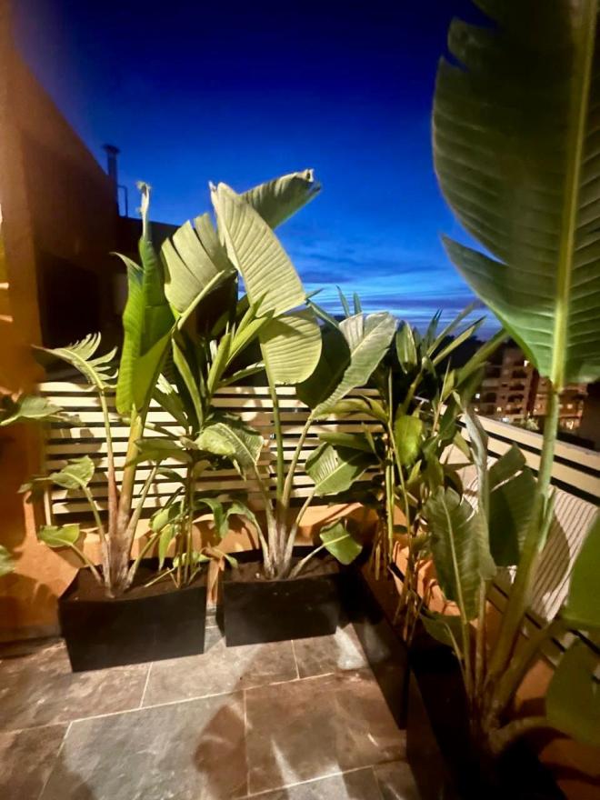 Superbe appartement à côté du Carré Eden