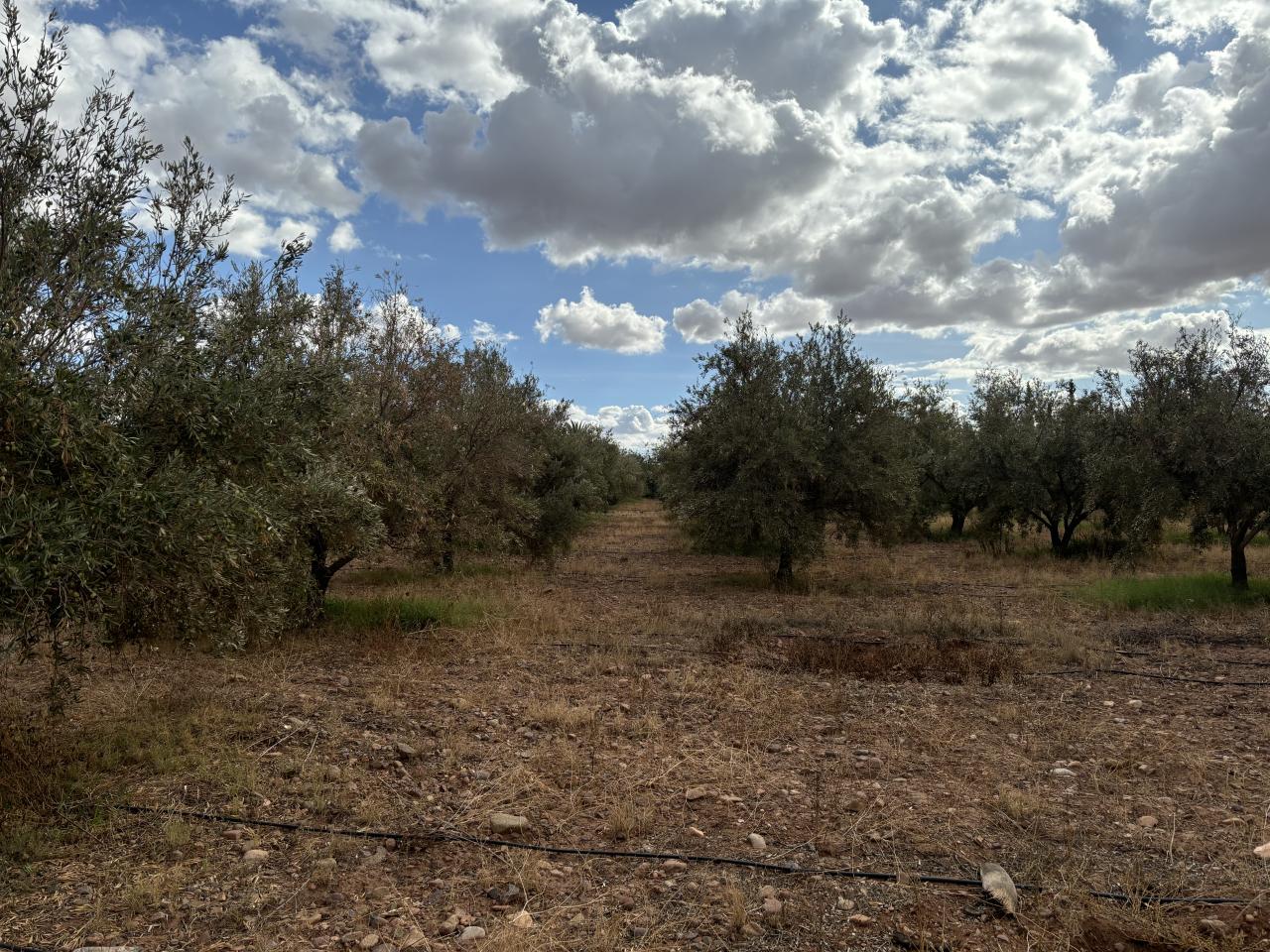 Terrain à vendre de 1,3 hectare sur la route de l’Ourika