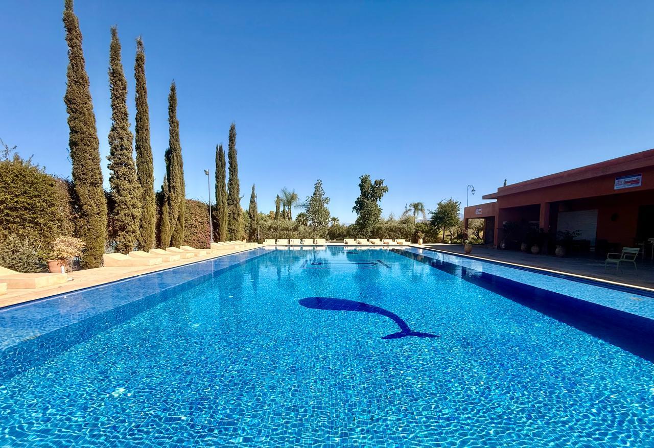 Magnifique Studio En Rez De Jardin À Vendre Fort Potentiel Locatif