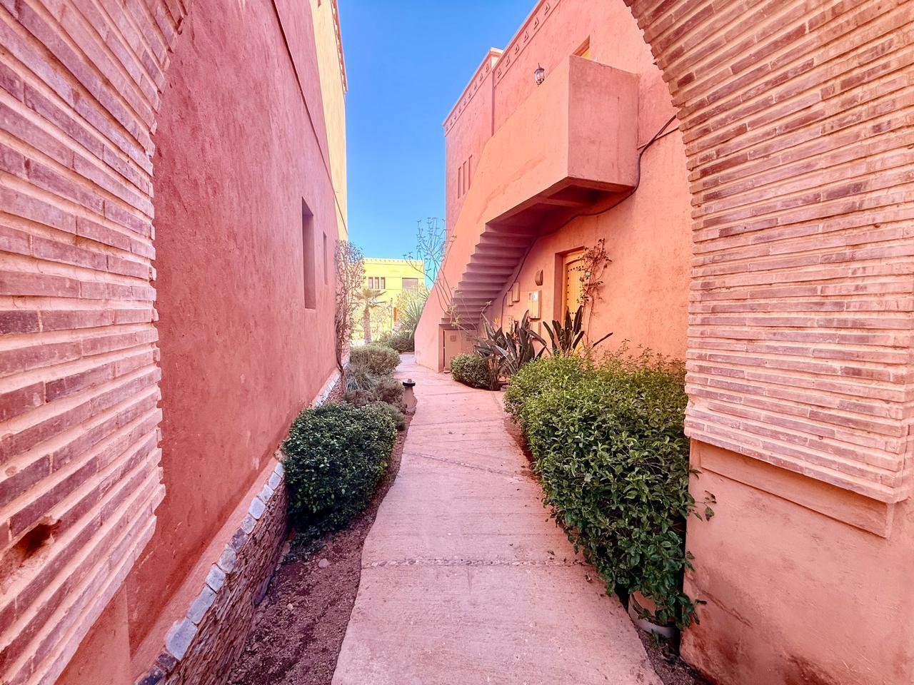 Magnifique Studio En Rez De Jardin À Vendre Fort Potentiel Locatif