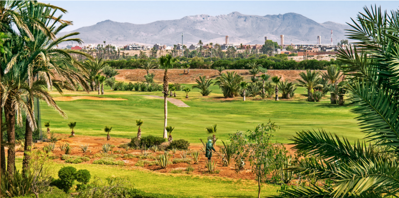 LOTS DE TERRAINS À VENDRE ROUTE D'AMEZMIZ– À PARTIR DE